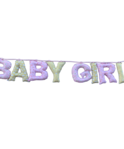 banner baby girl